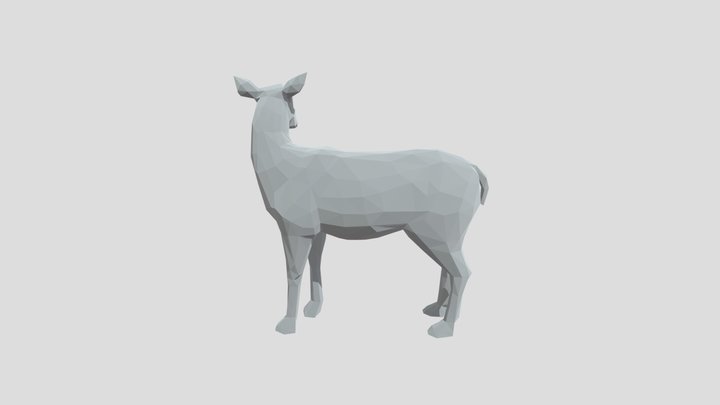 Randier 3D Model