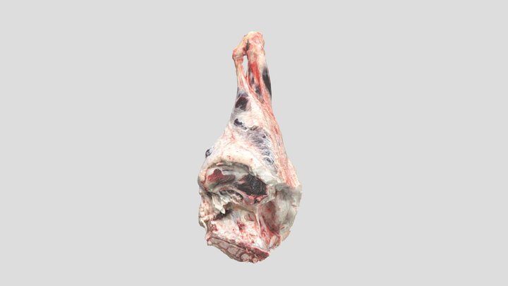 牛　大分割　もも 3D Model