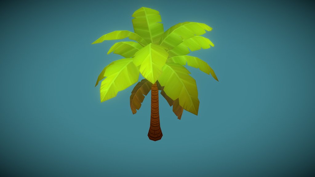 Coconut Tree