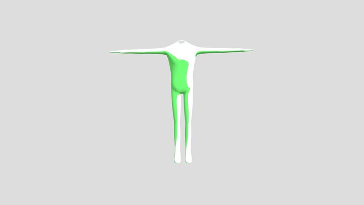 Body 3D Model
