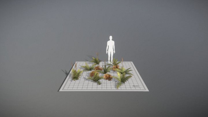 Ferns n' Bushes 3D Model