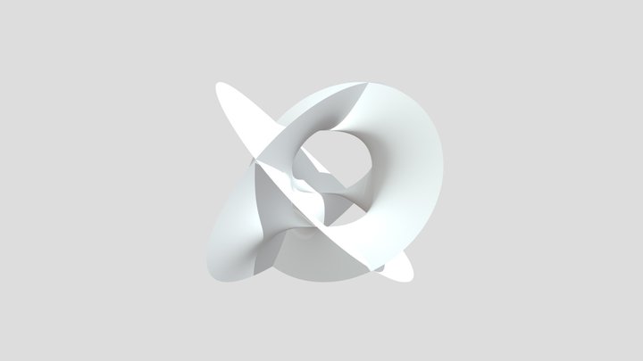 Calabi-Yau manifold 3D Model