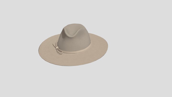 fedora 3D Model