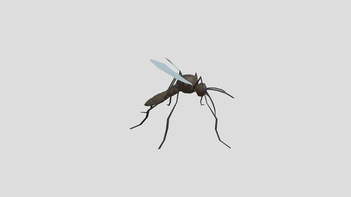 Marcus the Mosquito 3D Model