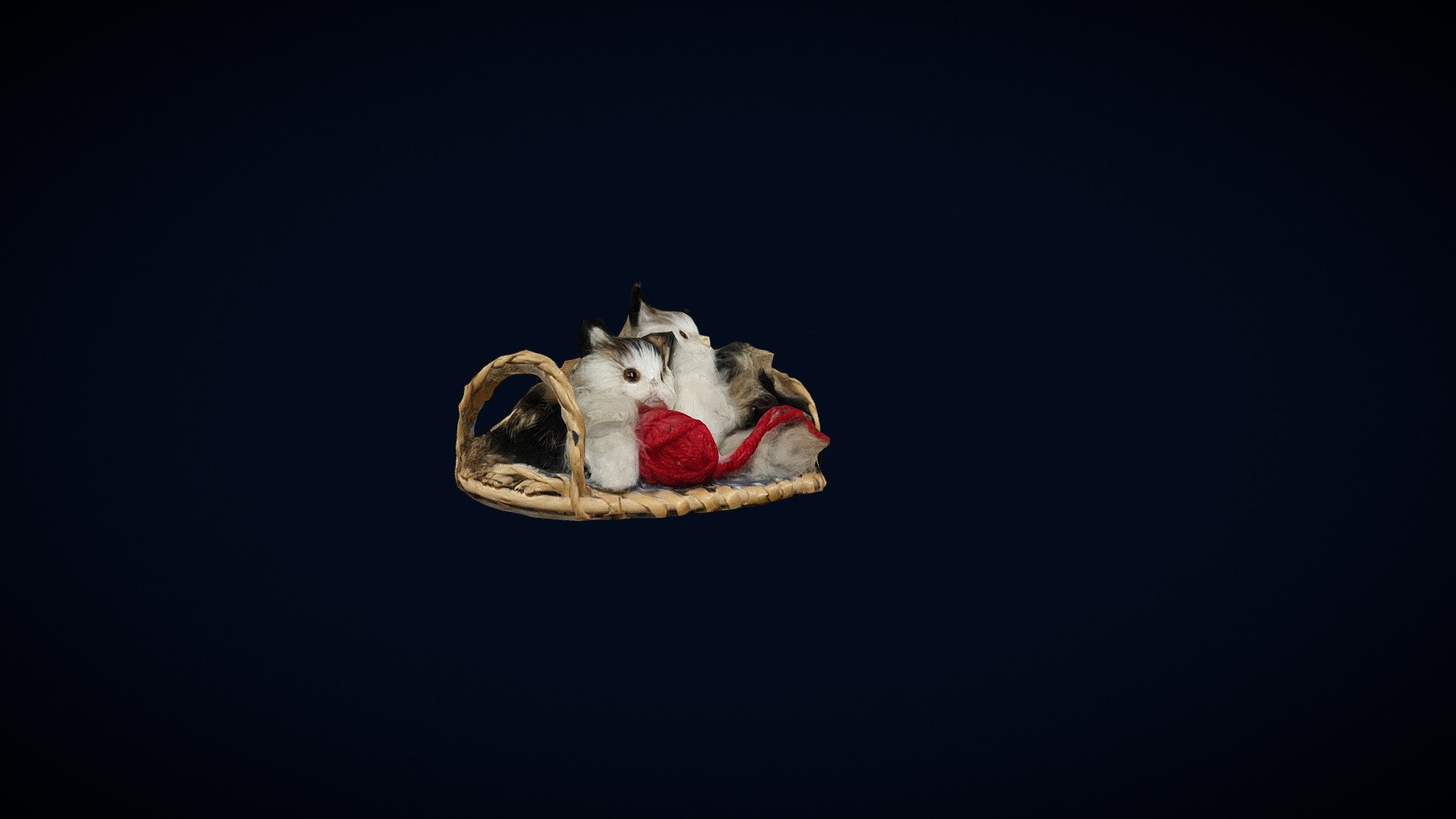 Kittens