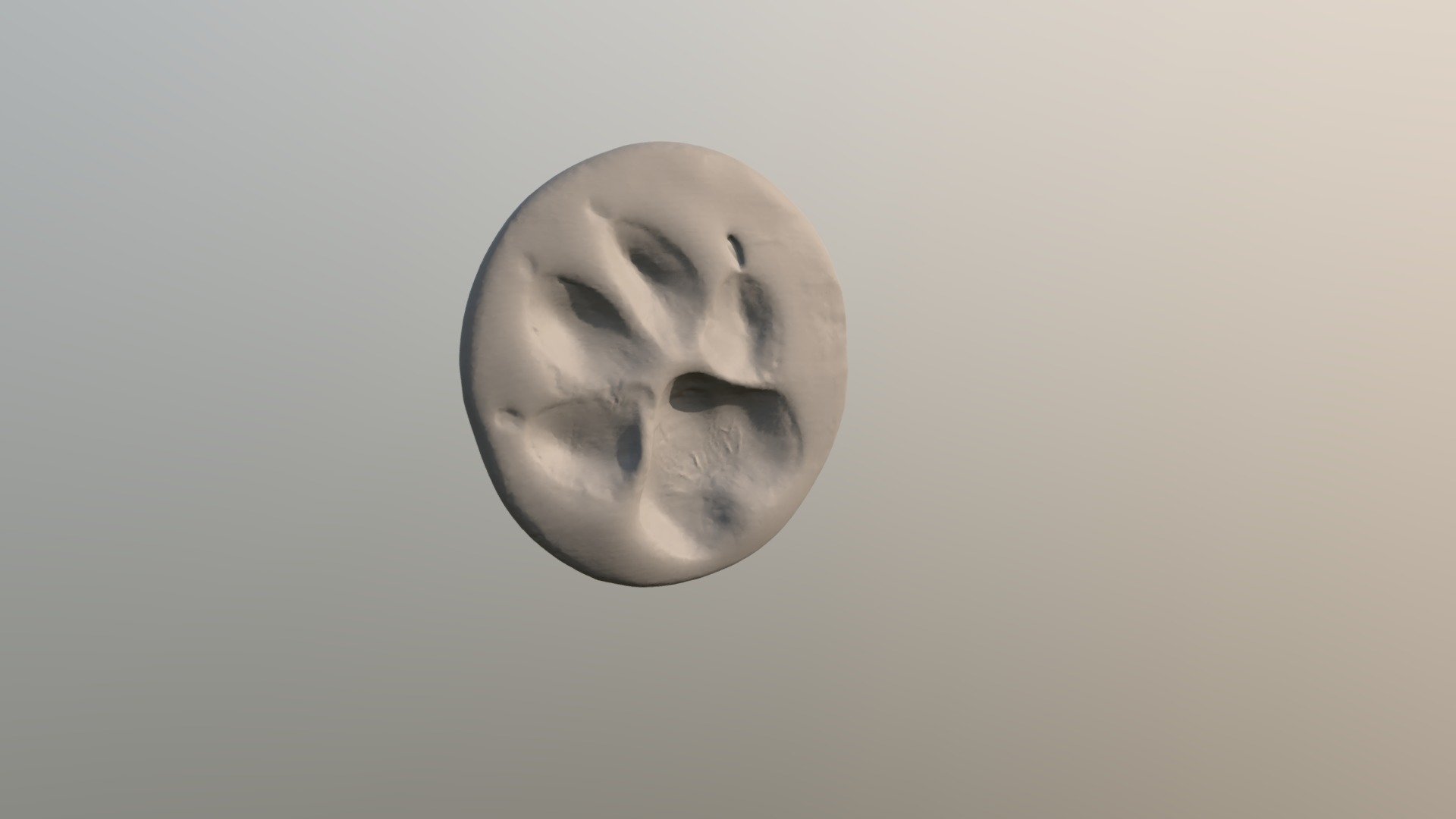 Paw Scan 1