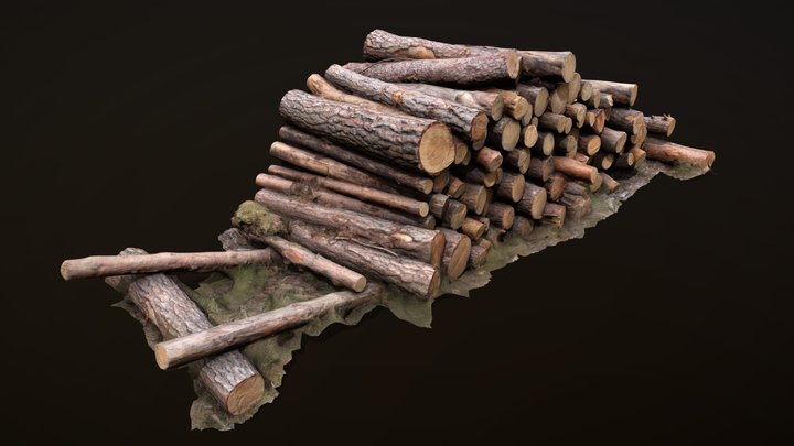 Wood Logs photogrammetry 3D Model