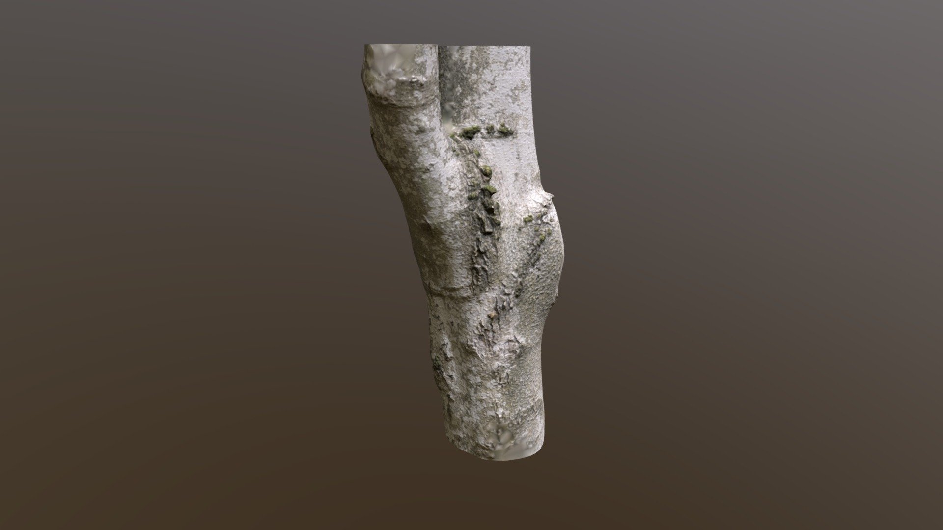 House Tree Download Free 3D Model By Kelvincai d14c9e7 Sketchfab