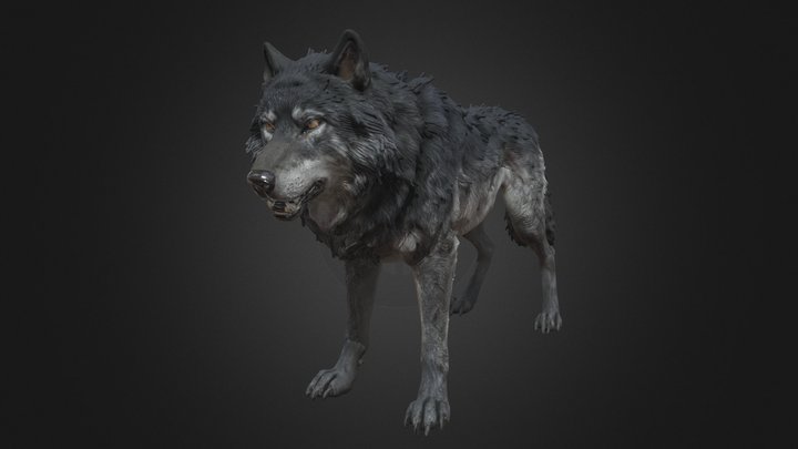 Black Wolf – Pale-Eyed Fierce Dark Predator – Modelo 3D gratuito STL