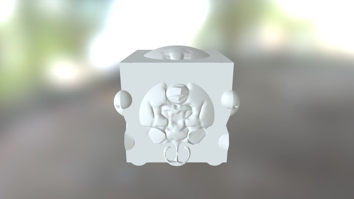 My model 3D Model