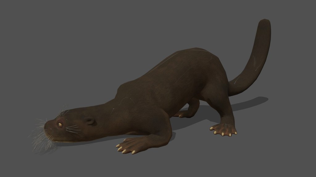Animated Otter – 3D Animal Model