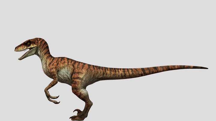 DracoWarrior's Male Velociraptor – Modello 3D gratuito STL