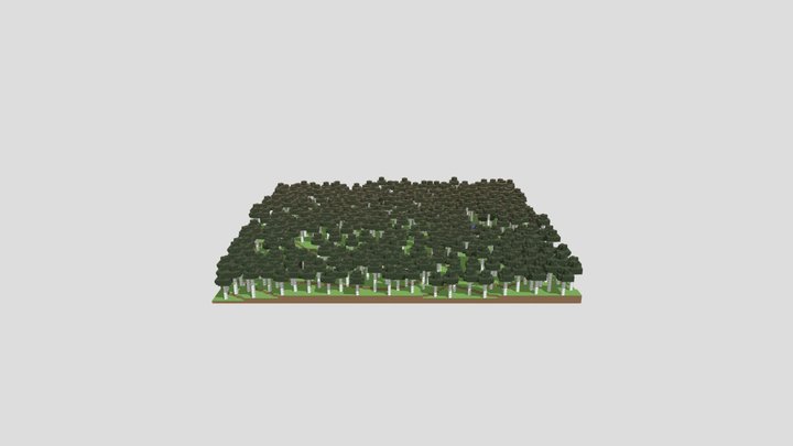 CreeperCoastal's Birch Forest Minecraft map 3D Model