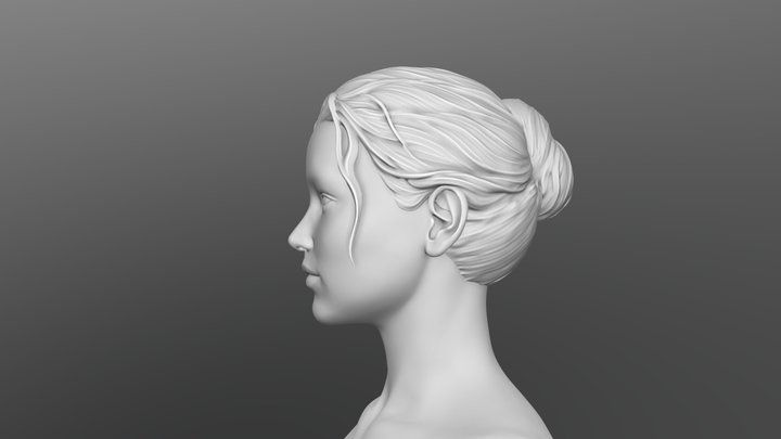 Hair 07 3D Model