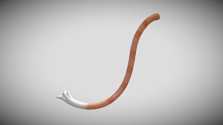 Rigged Tabby Tail for VR Avatars 3D Model
