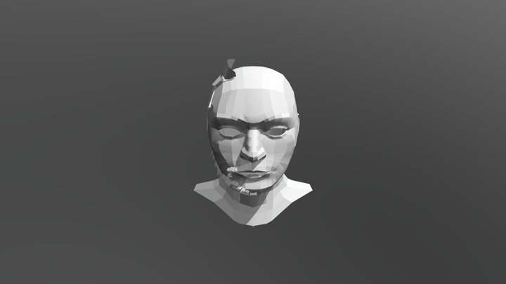 Head With Hair 3D Model