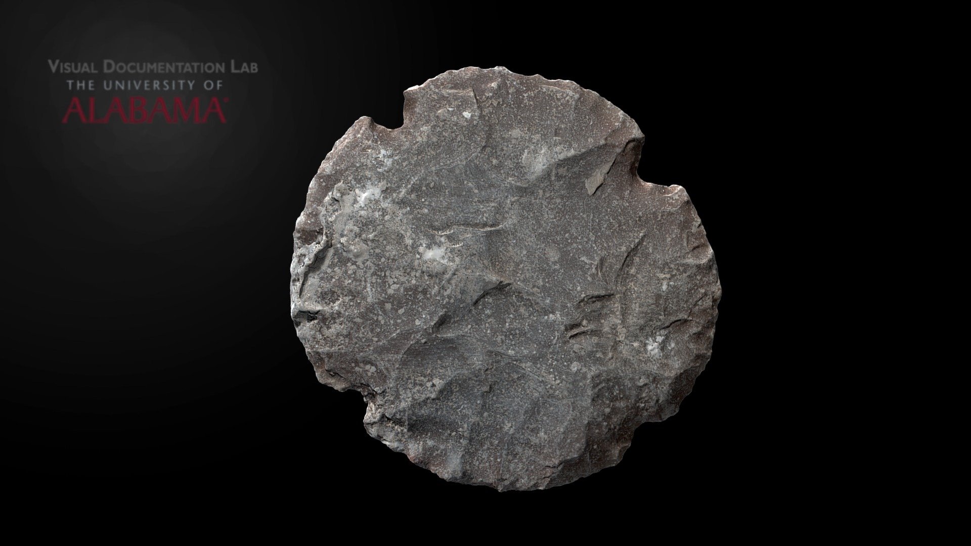 Chert eccentric, La Sufricaya