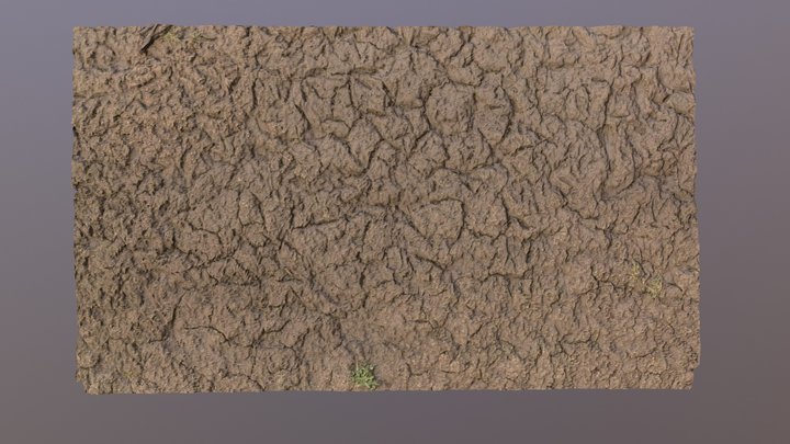 Cracked Mud 3D Model