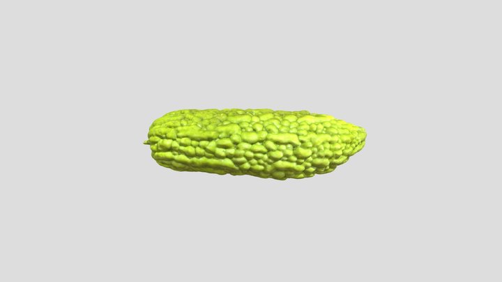 Bitter Melon - Photogrammetry 3D Model