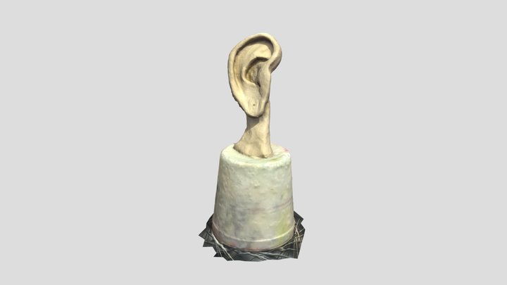 I’m all ears by Milena Faé 3D Model