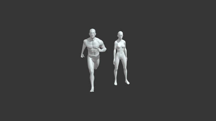 Male Female Body Base Mesh Animated 20k Poly 3D Model