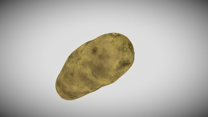 Potato 3D Model