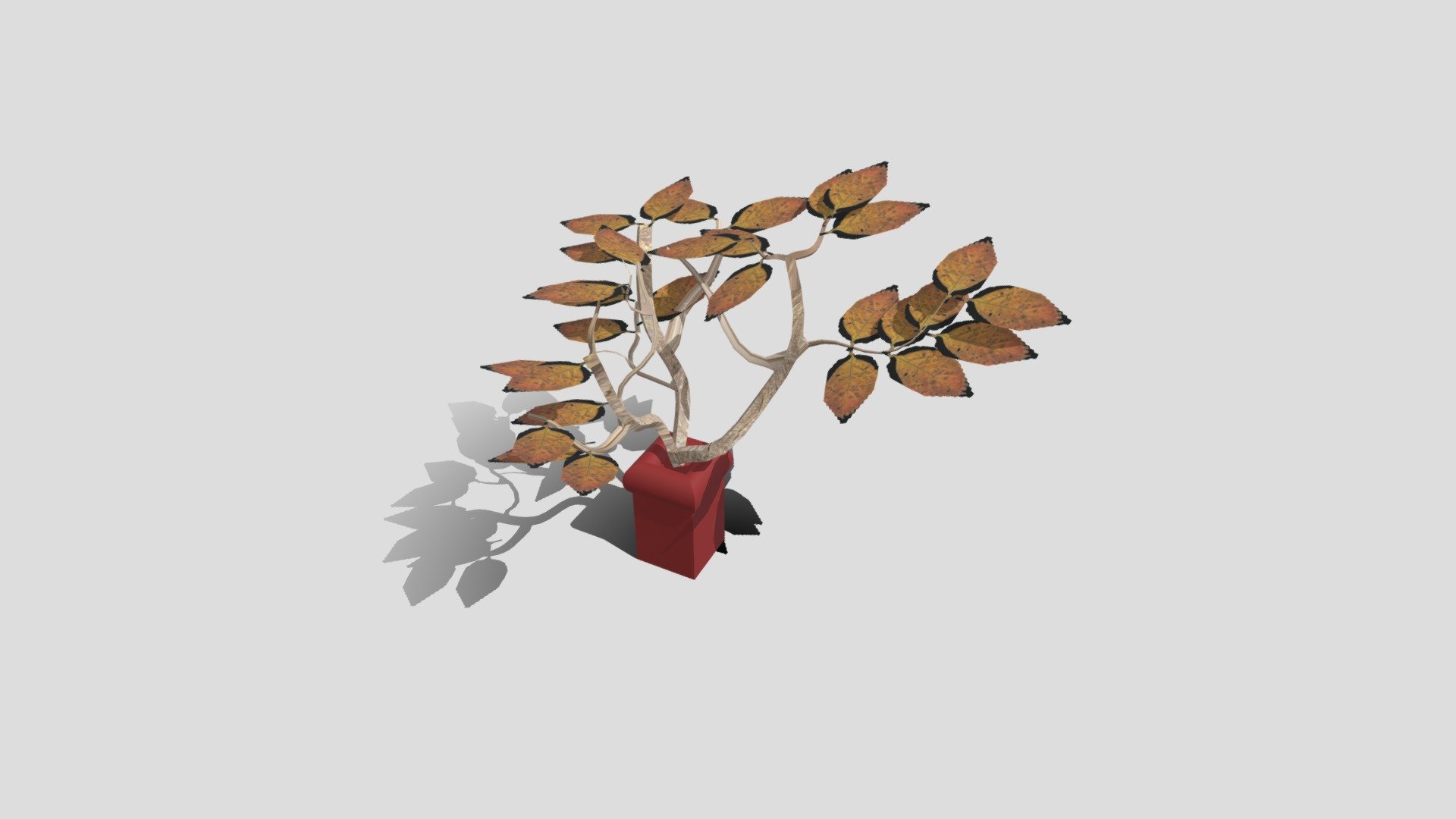 Plant