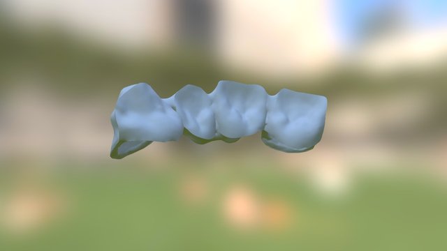 tooth 3D Model