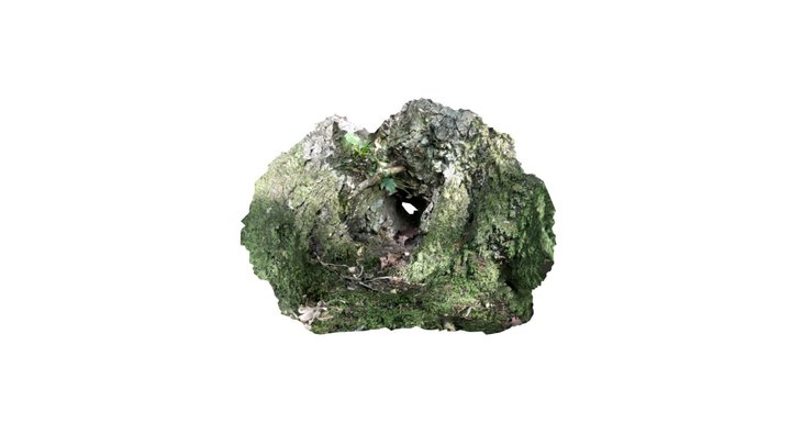 tree hole 3D Model