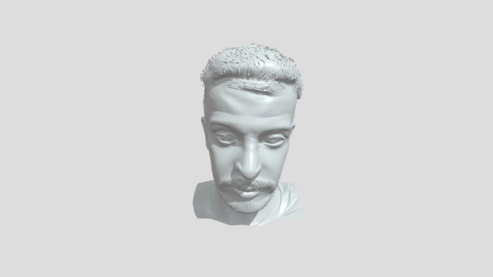 A man's facial portrait 3D Model