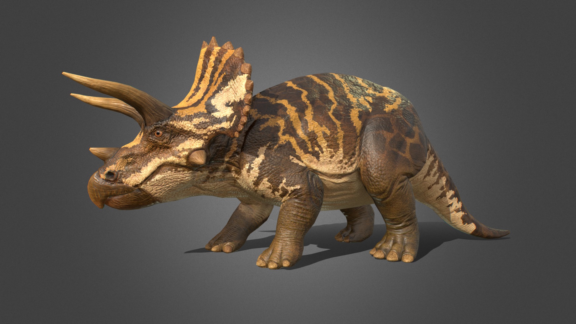 3D model Triceratops - This is a 3D model of the Triceratops. The 3D model is about a toy dinosaur with horns.