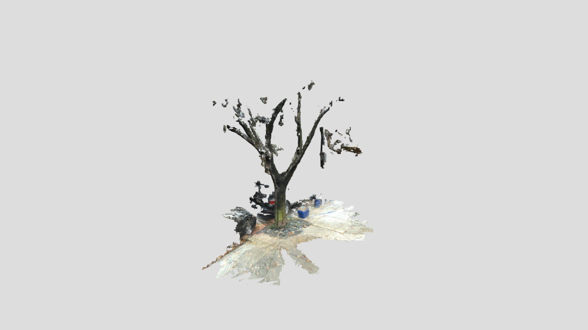 moyamensing tree