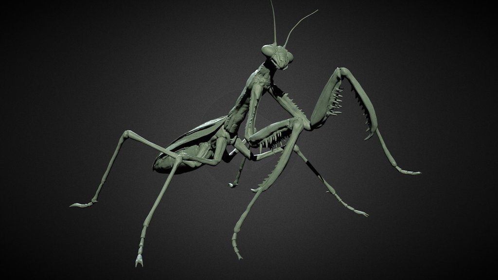 Mantis On The Ground 3D Print Model 1/6 Unpainted Unassembled GK 2 Version H12cm