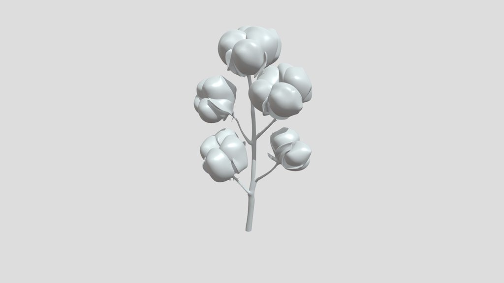 Cotton branch with bolls