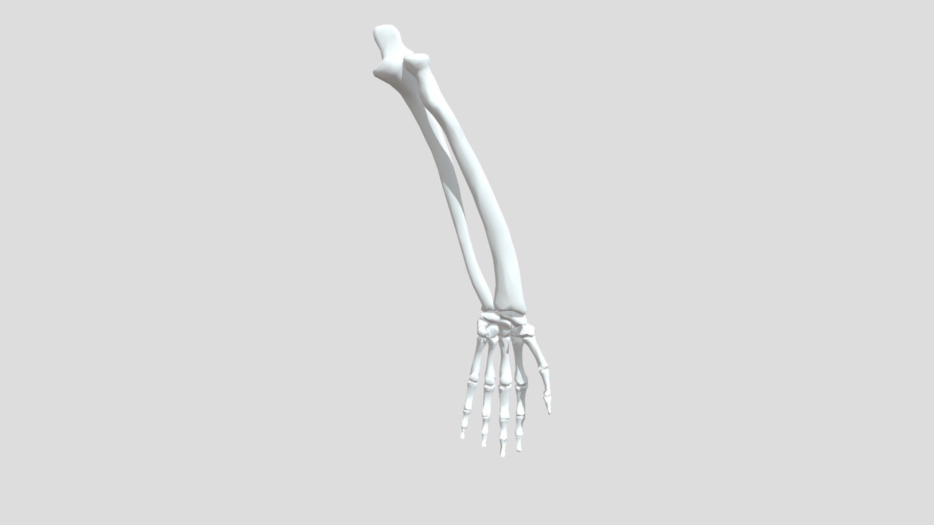 Lower Arm L 10393 - Download Free 3D model by saravananm4594 [d173d7b ...