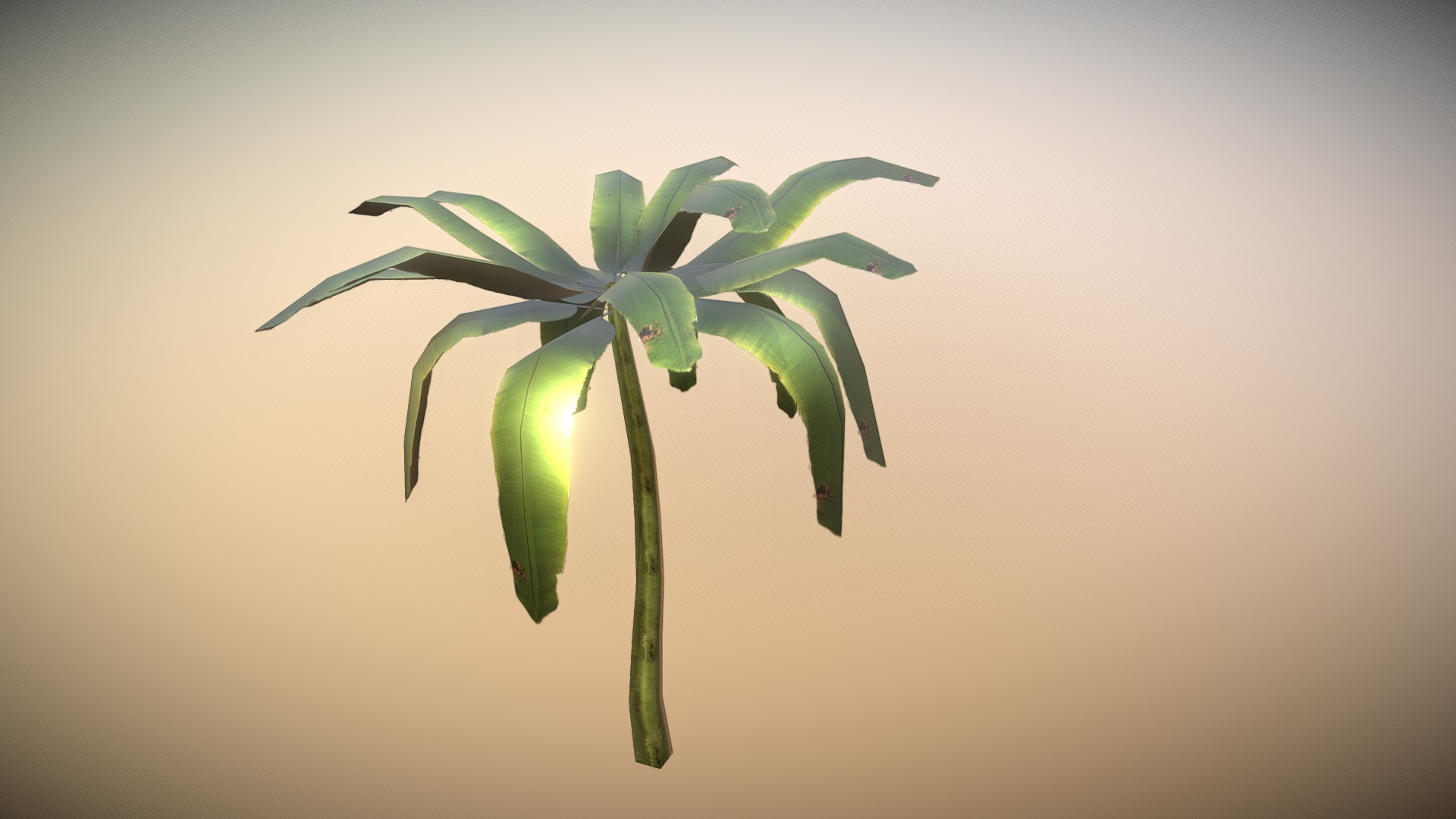 3D model Tree - This is a 3D model of the Tree. The 3D model is about a plant with leaves.