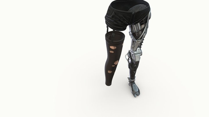 Shorts W Robotic Leg & Stockings 3D Model