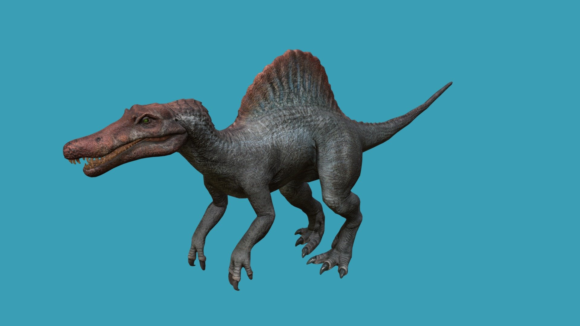 Spinosaurus - Download Free 3D model by kenchoo [d17af5b] - Sketchfab