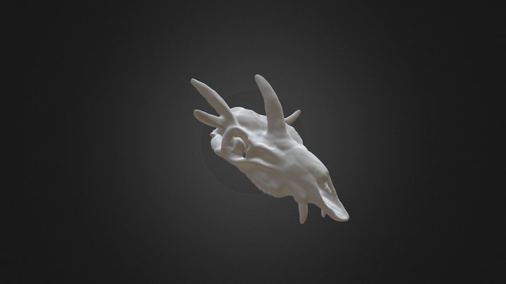 Cranio Hoplitomeryx 3D Model
