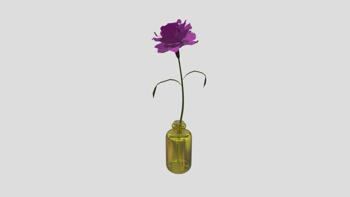 Single flower / Carnation Magenta 3D Model
