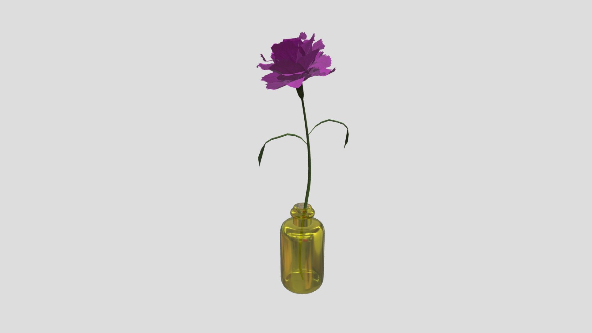 Single flower / Carnation Magenta
