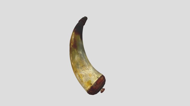 Hornmodel 3D Model