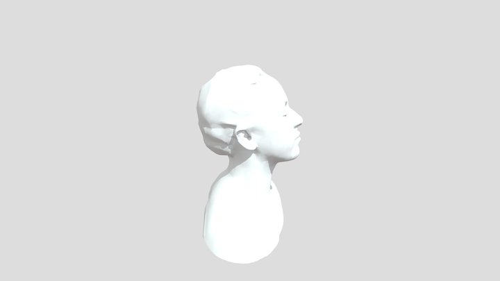 Cuerpo Entero - Ciclo 2 - T.F.D 3D Model
