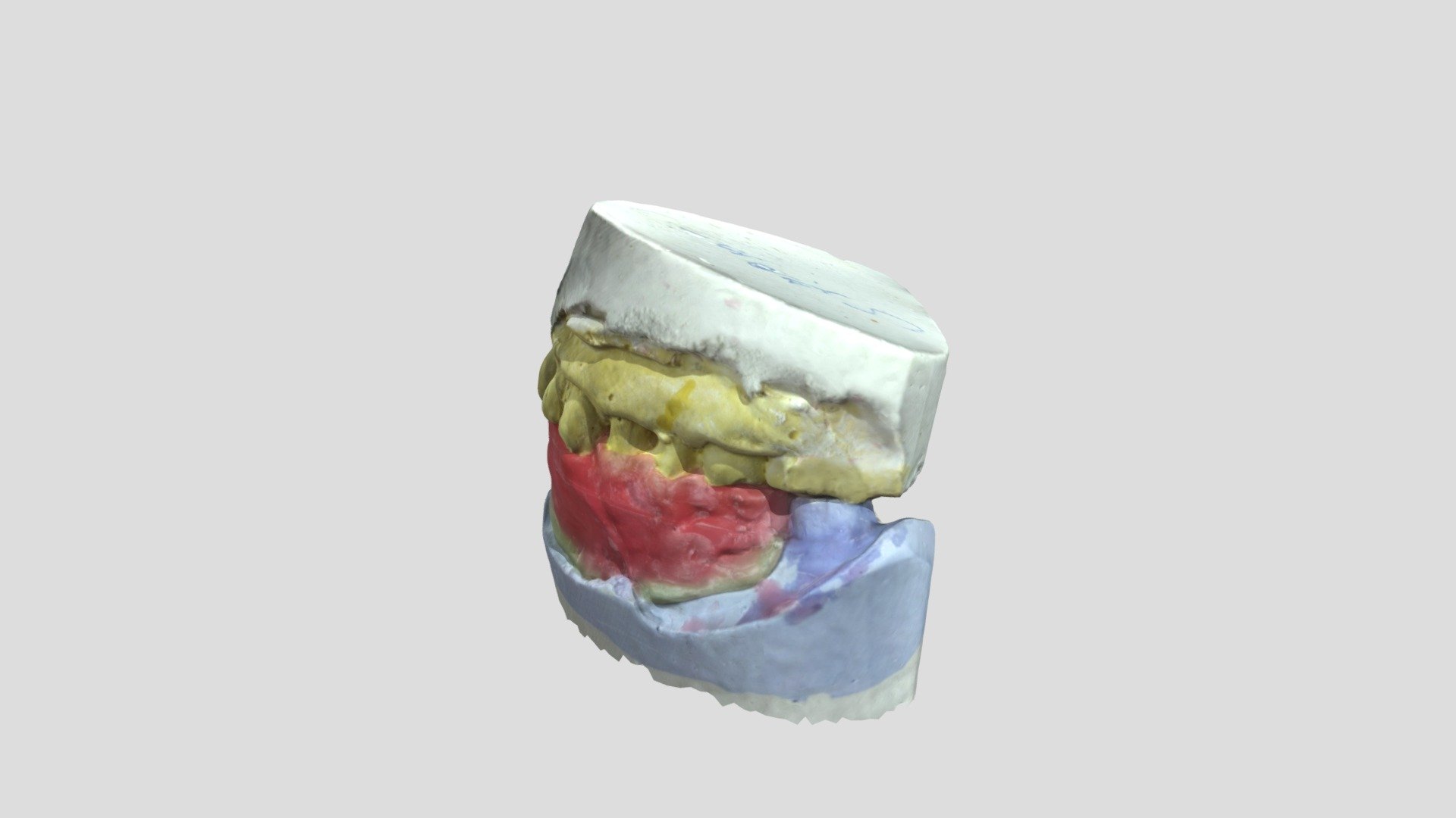 Single Denture Bite Registration Scan Download Free 3D model by Omar