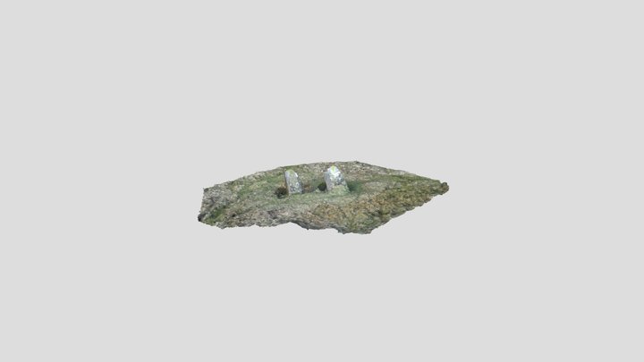 PE352 Tafarn-y-Bwlch Standing Stones 3D Model