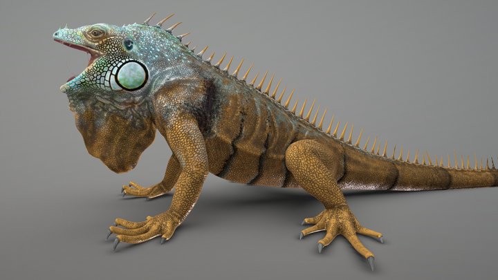 Iguana 3D Model