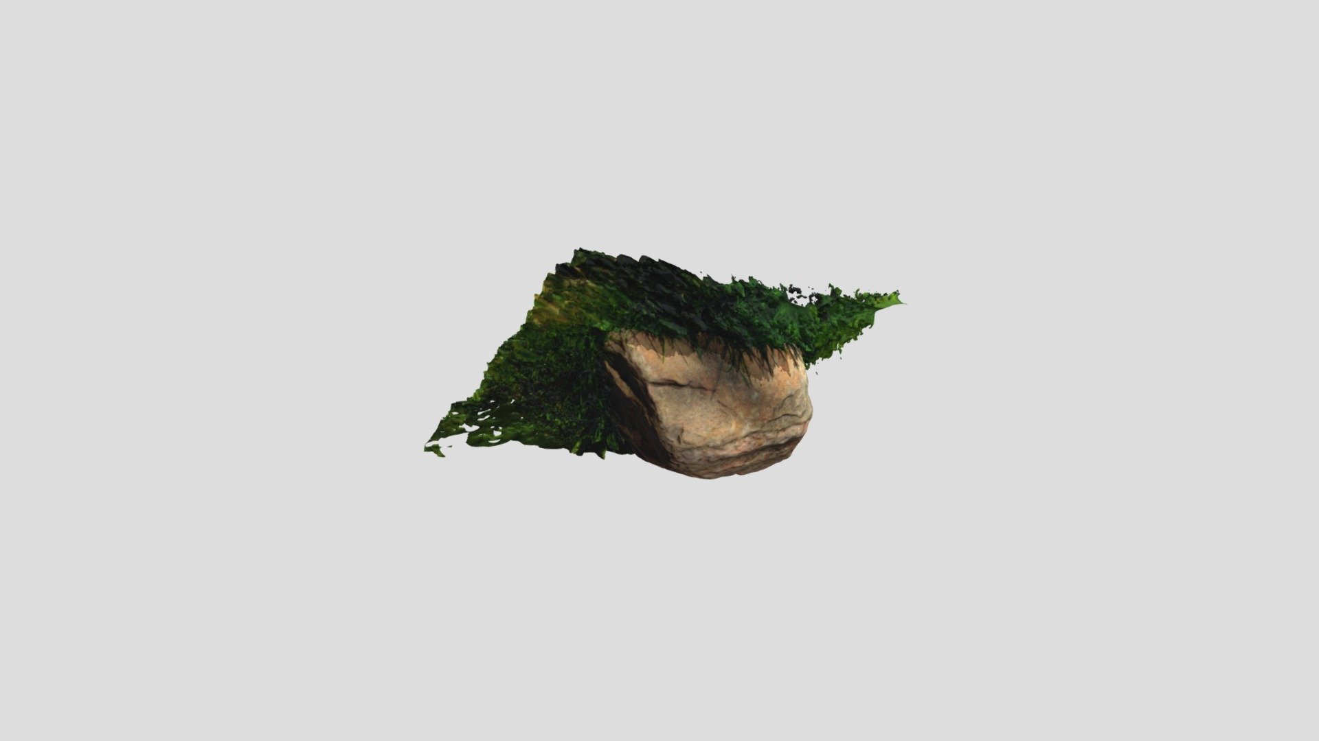 Photogrammetric Rock