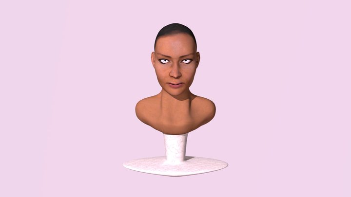 Head Bust Project 3D Model