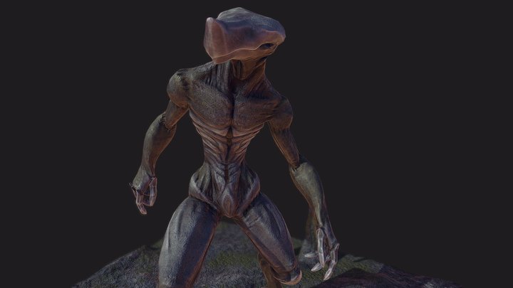 Moss Eater 3D Model