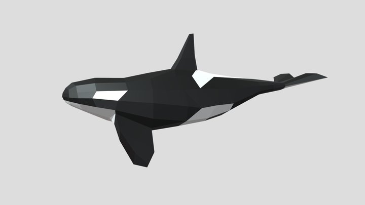 Low poly Orca whale 3D Model
